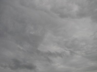 20100206 569.JPG
